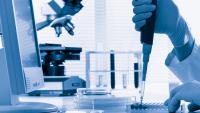 Pharma Sector as Example of Knowledge-Based Economy