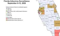 Florida’s Dengue Outbreak Now The Largest In Continental U.S. In Decades