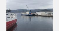 Weekly unloading of Brazilian fruit restarted at the Port of Marín