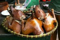 Veterinary Officer warns Dagaabas and Frafras against eating unvaccinated do