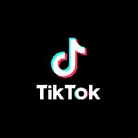 Alleged TikTok disruption: CSOs demand probe as users in northern Nigeria turn to VPNs