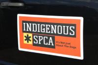 Indigenous SPCA rethinks animal welfare in the Lakes District