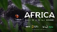 First Look at “Africa Earth’s Wild Home” National Geographic’s continent-sized series