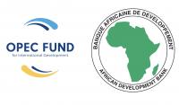 AfDB, OPEC strengthen environmental, social safeguards in Africa