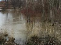 Oregon Farmers Eligible For Loans Following Storms, Fires