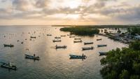 Jiquilisco Bay: A New Benchmark in Migratory Bird Conservation in America with Its Entry into the Continental Network