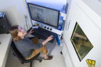 University Researchers Uncover Surprising Diversity in Sharks’ Inner Ears