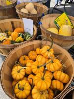 Fall Favorites at the Saratoga Farmers’ Market