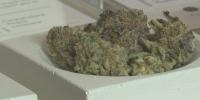 Virginia seeks feedback from medical cannabis patients through new survey
