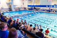 PHOTOS: Kentucky faces Florida in the pool