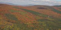 Peak foliage from flight: how one Maine pilot takes leaf-peeping to new heights
