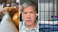 Virginia Man Leaves His Dog With A Trainer Before Trip To Oregon. Then He Gets A Disturbing Phone Call: ‘I Paid Her $3,000’