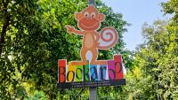 Grab a pencil, find a wall: Bookaroo is back with stories, books and more for Delhi’s children