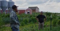 For these Midwest farmers, regenerative agriculture is about more than soil health