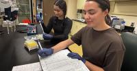 Collaborative research moves dial on tick study