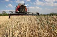 Global food prices near four-year high in September, UN says