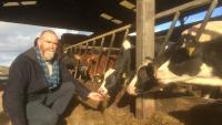 Why Cornish farmers are facing a financial storm