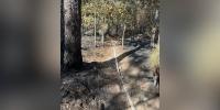 Alabama Forestry Commission provides new update on Oak Mountain State Park wildfire
