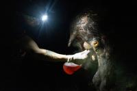 At 17 minutes past midnight, two men in the Costa Rican rainforest fight to save a tapir from a flesh-eating parasite. Michiel van Noppen was there to capture the action in style