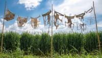 Swiss scientist soils underpants, wins silly science prize