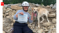 Malnourished Mississippi stray became FEMA search dog; now 2026 Dog of the Year