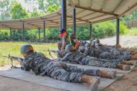 8 in 10 draft dodgers violating travel rules go unpunished