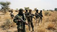 Boko Haram militants kill 20 farmers in Nigeria’s Borno state