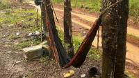 Cambodian rubber worker killed by lightning strike in Trat