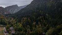 Swiss mountain forests are losing their drought resilience as warming intensifies
