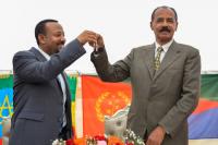 Tigray rebels abandon Mekelle as Ethiopian forces advance