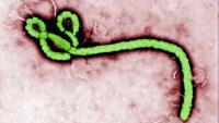 Ebola outbreak in DR Congo kills over 4,000