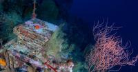A Decade-Long Experiment Is Unlocking the Mysteries of the Ocean’s ‘Deep Reefs’