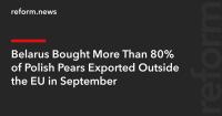 Belarus Bought More Than 80% of Polish Pears Exported Outside the EU in September