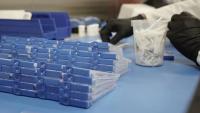 Nearly 200 isolated after lab worker dies of suspected plague in Siberia