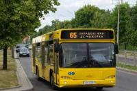 Two popular bus routes to return to Minsk city center