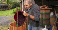 At WinterHawk Vineyards, patience is a virtue as local vineyard painstakingly harvests its next bottles of wine