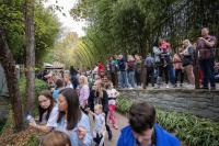 Unvaccinated Fort Wayne Zoo Visitors Face 21-Day Measles Quarantine After Sept. 27 Exposure as Northeast Indiana Cases Rise