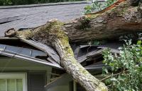 Kansas homes still without power nearly six weeks after storm