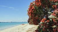 Affordable Kiwi holidays, councils and keeping pace with population growth – Letters