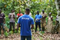 Barry Callebaut explores advanced agroforestry for cocoa growing benefits