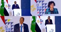 Industrialists and financiers at Alamein forum urge end to raw material exports and ‘African scale penalty’