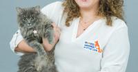 Florida Panthers recognize Broward County animal care leader during Hispanic Excellence celebration