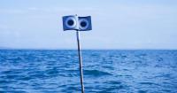 Floating scarecrow reduces fishing net seagull deaths by 61 per cent off Cornwall