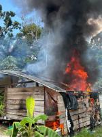 Police destroy 53,000 cannabis plants valued at $22 million in Linden