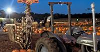 The UK's best rated pumpkin patch is just 1 hour from Buckinghamshire