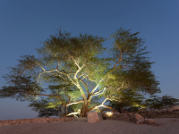 Things to Do in Bahrain This Week: 4 to 7 October