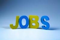 What Makes a Job Opportunity Worth Applying For?