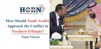 How Should Saudi Arabia Approach the Conflict in Northern Ethiopia?