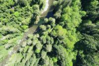 Company allows public access to 42,000 hectares of Sooke forest