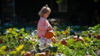 Pick your pumpkin patch: Clark County farms will fill your seasonal gourd needs